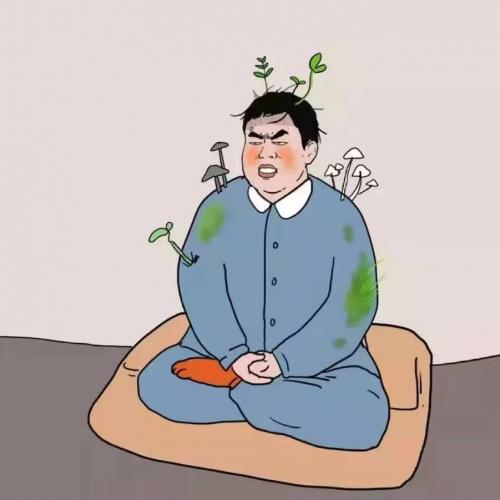 花前一壶老可乐
